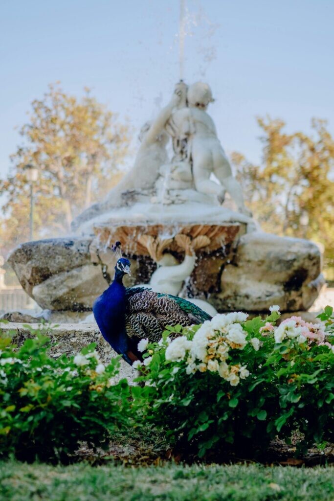 Real Madrid Today: What's Happening with the Team?