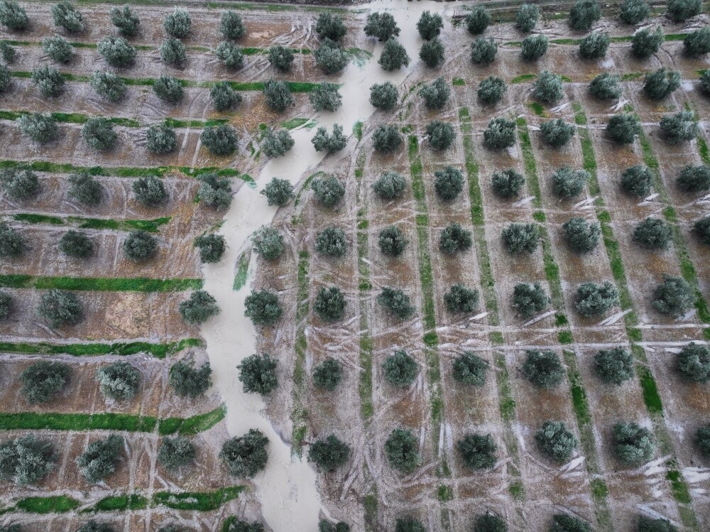 Storms Cause Damage to Spanish Agriculture