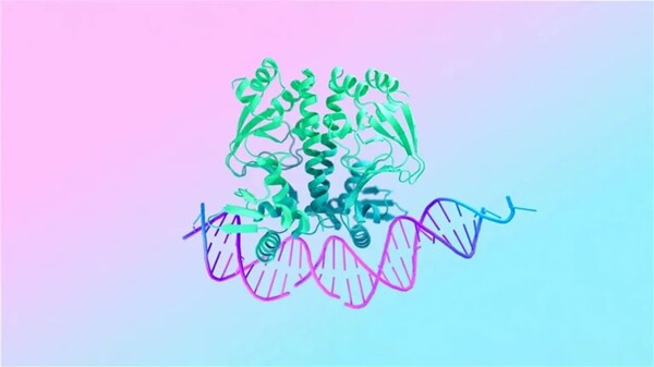 AlphaFold 3 от Google DeepMind предоставляет беспрецедентные молекулярные исследования
