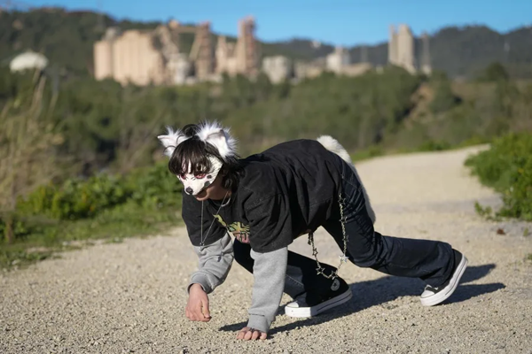 Experts: 'Therian' Trend Could Harm Animals