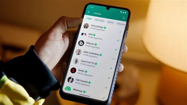 WhatsApp Beta представляет новую функцию поиска каналов по категориям