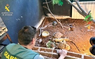 Spanish Police Rescue Hundreds of Illegally Imported Animals