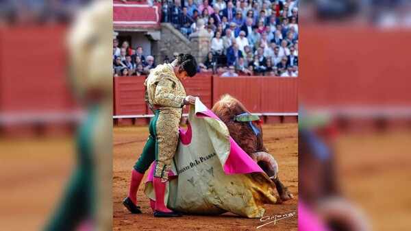 Celebrating the Art of Bullfighting in Sevilla