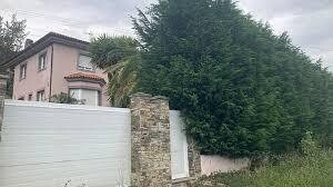 German Couple Held in Custody for Child Neglect