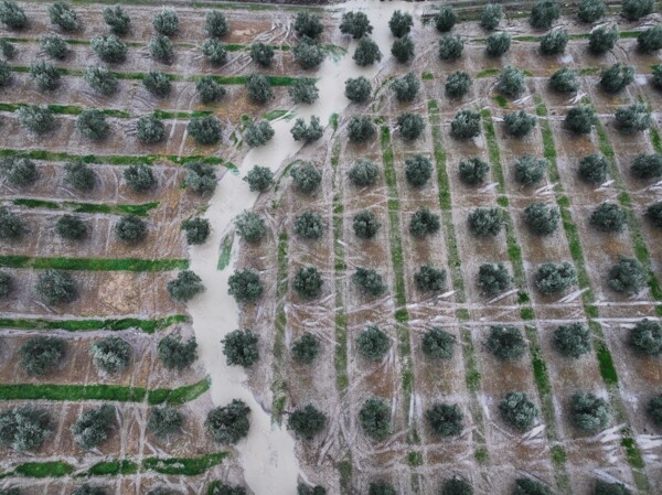 Storms Cause Damage to Spanish Agriculture